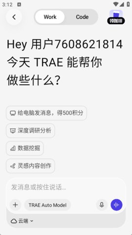 trae work��ҳ�����
