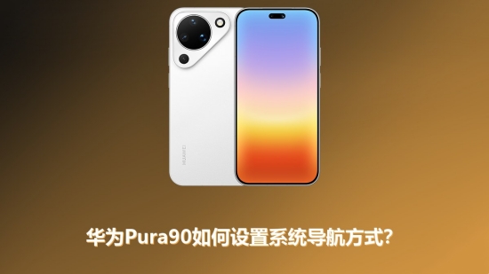 Pura90��ô����ϵͳ������ʽ��