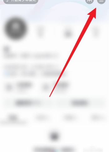 ����������ô����ʾip��ַ